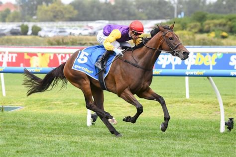 Angus Armanasco Stakes Tips, Betting Odds, Past Winners and .